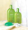 LIME GREEN TEA SCENT SPA SET (ZFL07-37633)